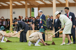 お手植え