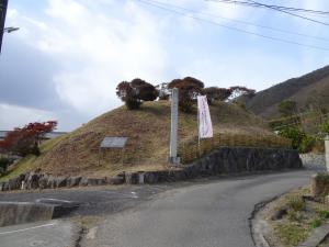 外から見た牟佐大塚古墳です。