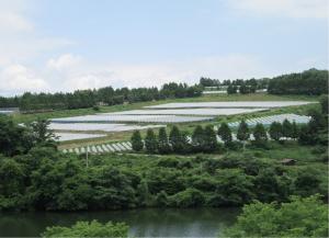 ブドウ団地（久米南町）