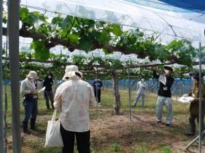 栽培希望者への講習会