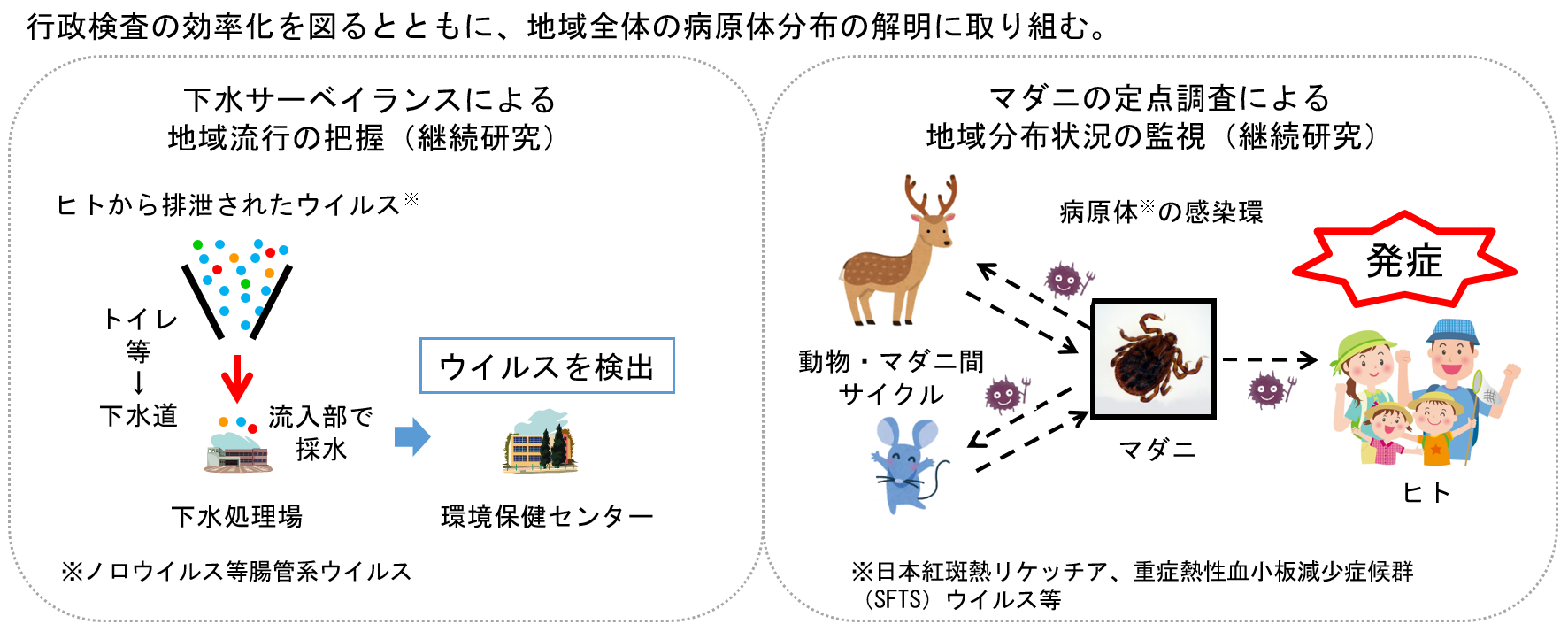 調査研究イメージ