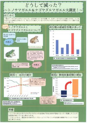 トノサマガエル