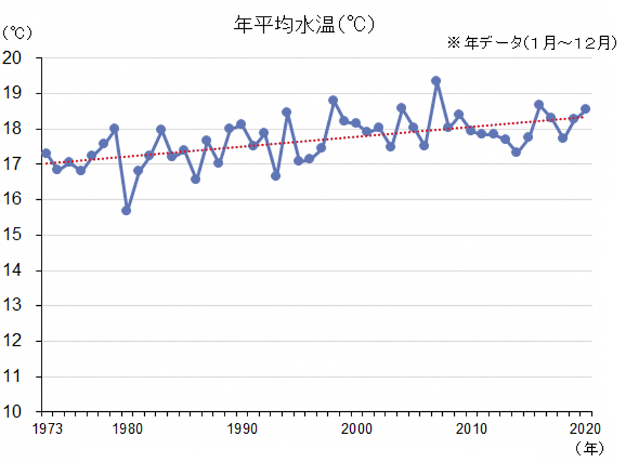 海水温グラフ