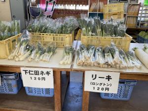 夏から育てた野菜たち