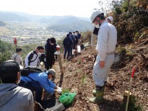 植栽活動の様子