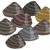 貝の絵