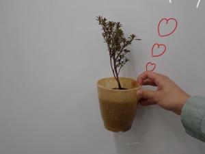 作例です。