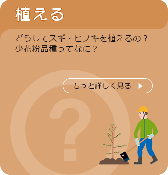 植える