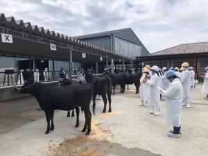 競技会の様子