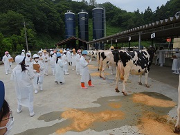 競技大会の全体の様子です。