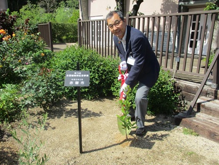 植樹の様子