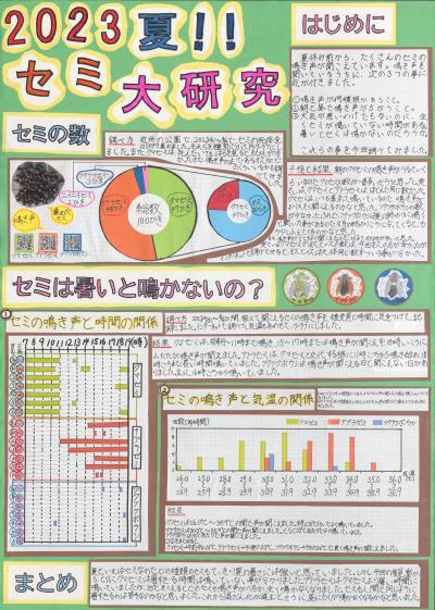 ２０２３夏！！セミ大研究