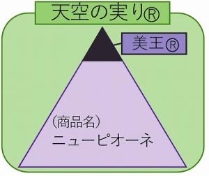 【びほく産ピオーネブランド名説明