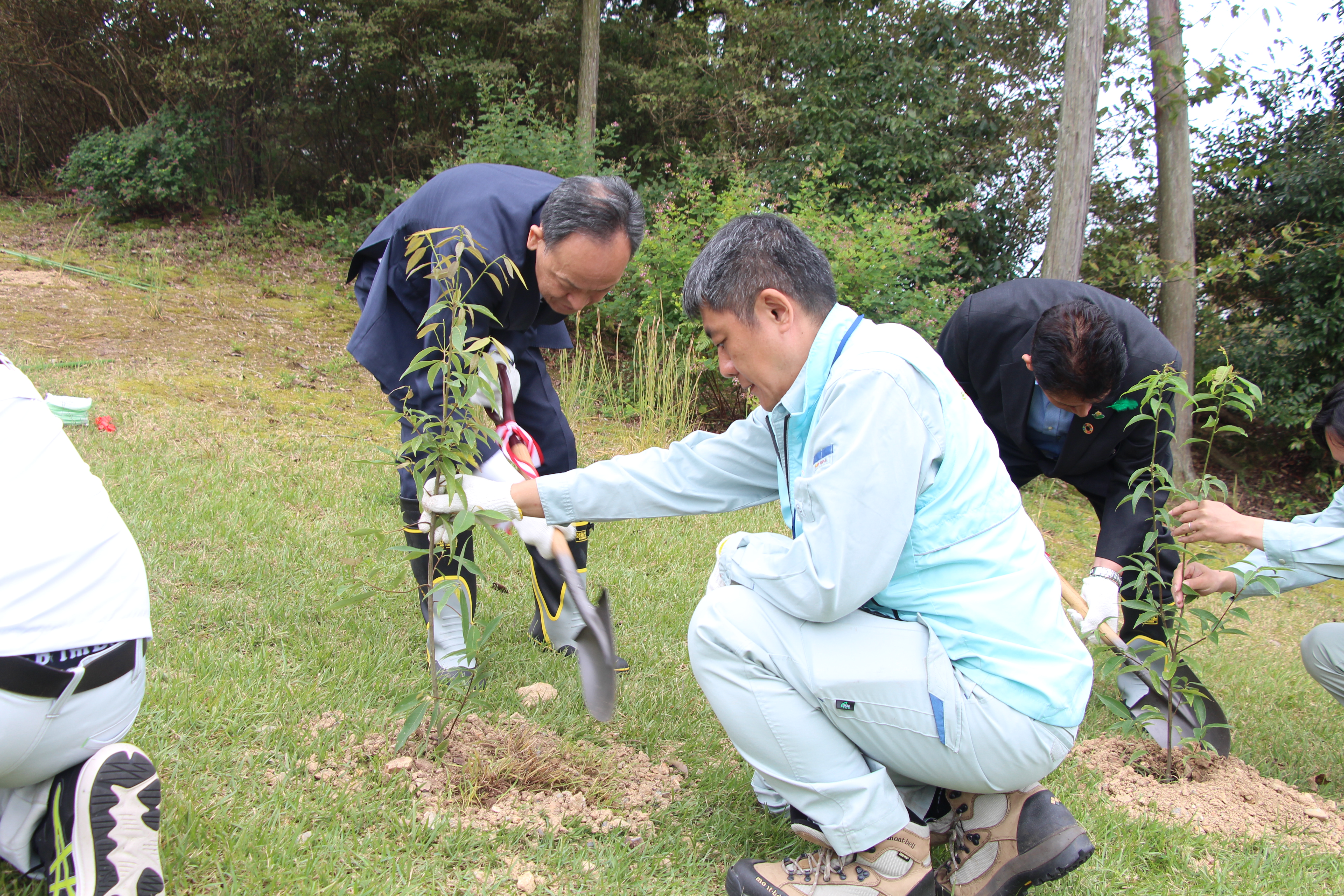 副知事植樹