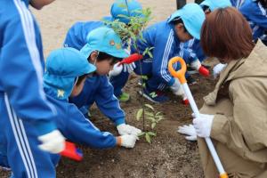 植樹をしている写真です。