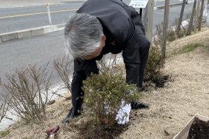 植樹をしている写真です。