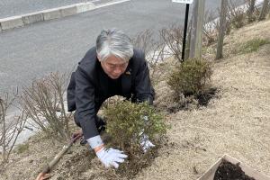 植樹をしている写真です。