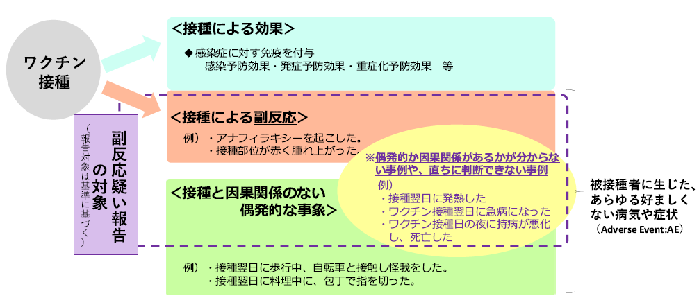 フロー図