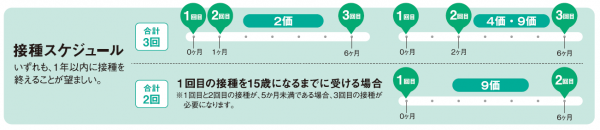 スケジュール