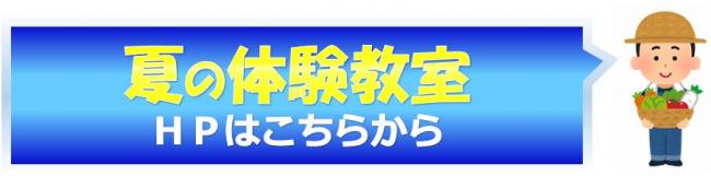 夏の体験教室