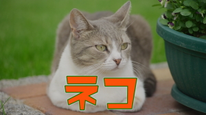 建設産業のナルホド
