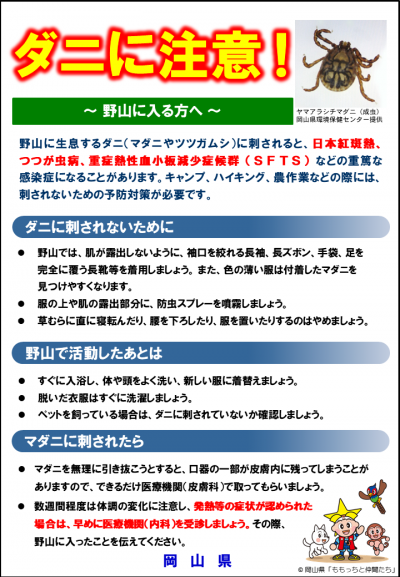 ダニチラシ１
