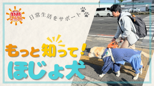 ほじょ犬