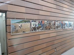 展示の様子②