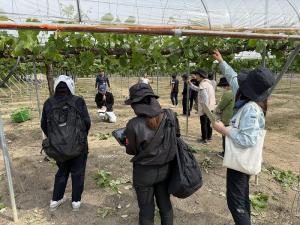 視察の様子を撮影した写真です