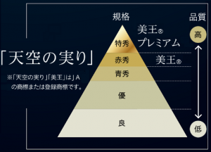 【びほく産ピオーネブランド】