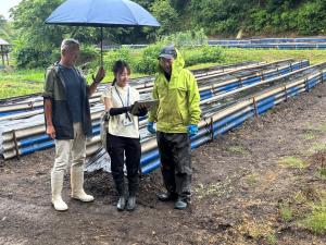 動画資料で定植作業を確認