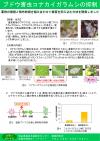 ブドウ害虫