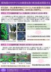 県特産