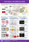 効率的優良モモ