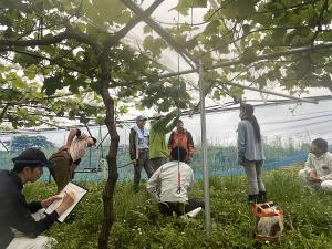 ぶどうの育成園で部会役員や関係機関が新規就農者に助言する画像