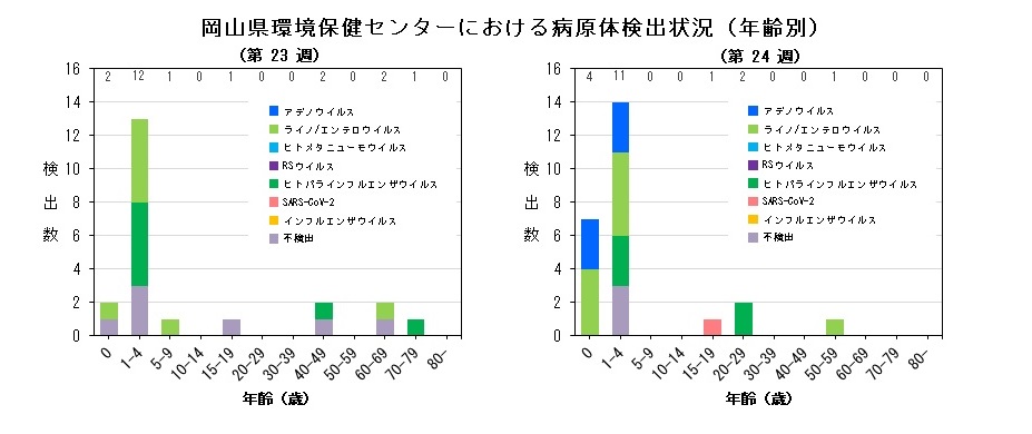 年齢別検出状況