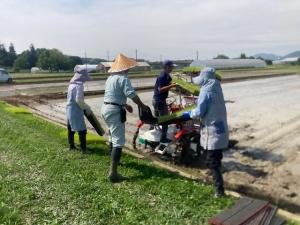田植作業の様子を撮影した写真です