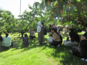 圃場視察の様子を撮影した写真です