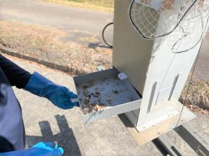 調査の様子を撮影した写真です