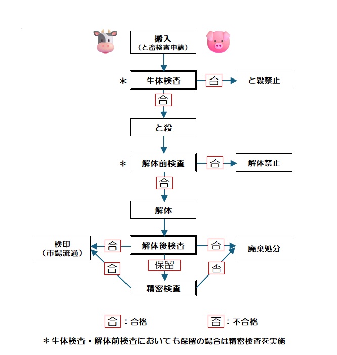 と畜検査の流れ
