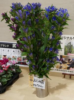よしの青生け花の写真