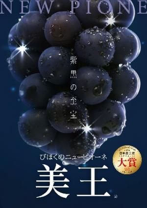 美王ポスター