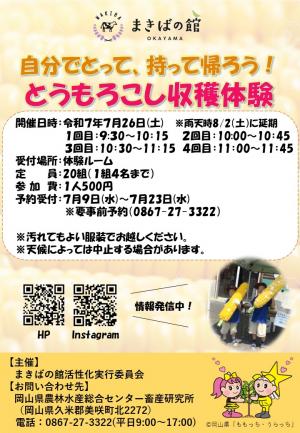 とうもろこし