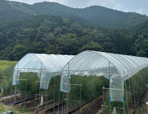 （左）塗布有、（右）塗布無の写真