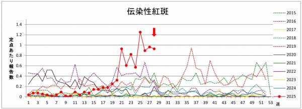 リンゴ病グラフ