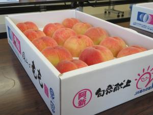 出品された「白鳳」