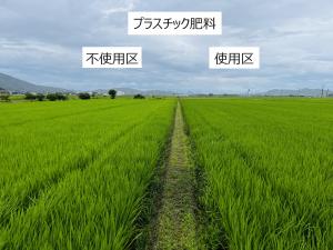 実証ほの様子を撮影した写真です
