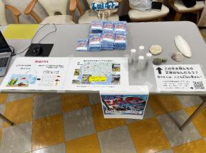 展示物