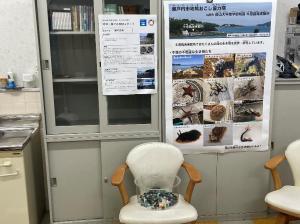 展示物②