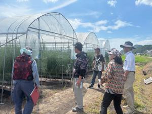 遮光剤の効果を検討する参加者の写真